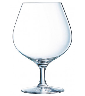Cocktail glass NICK & NORA 15cl by Chef & Sommelier (6 pcs)