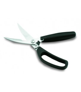 Lacor bird kitchen scissors