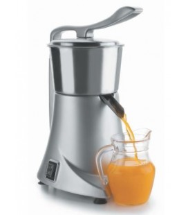 Professional electric juicer