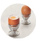 Support egg Ovum of Lacor